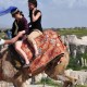 Cappadocia Camel Riding