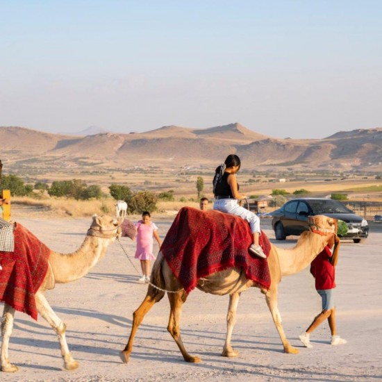 Cappadocia Camel Riding