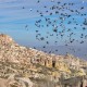 Cappadocia Green Tour